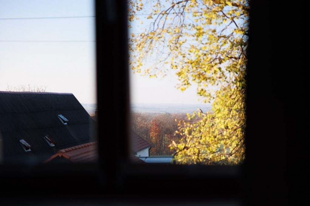 ferienwohnung-pirna-ausblick