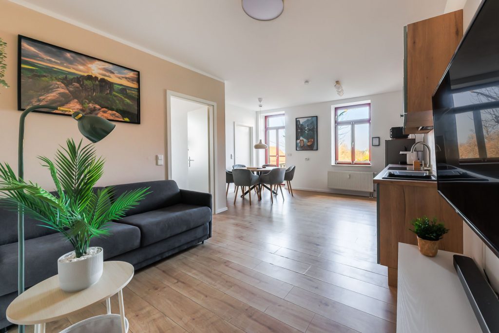 tv-ferienwohnung-pirna2